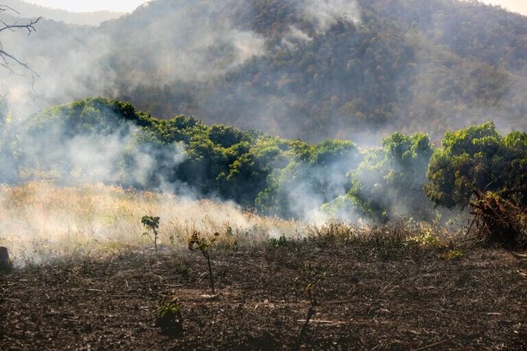 Multa e embargo ambiental | O que fazer? - incêndio ambiental